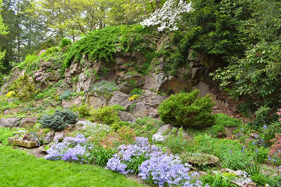 Spring Inspiration at the Leonard J. Buck Garden — Enchanted Gardens